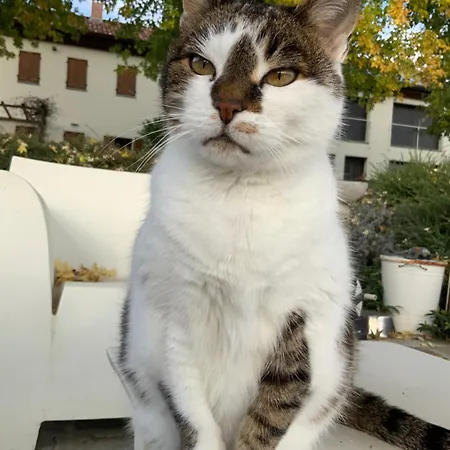 Le Piote 4* 피에트라 마라찌