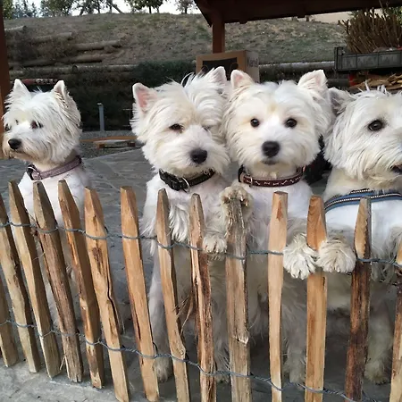 B&B Le Piote 피에트라 마라찌