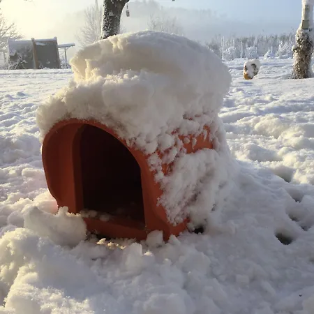 Le Piote B&B 피에트라 마라찌