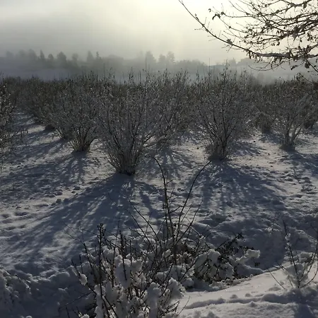 Le Piote B&B 피에트라 마라찌